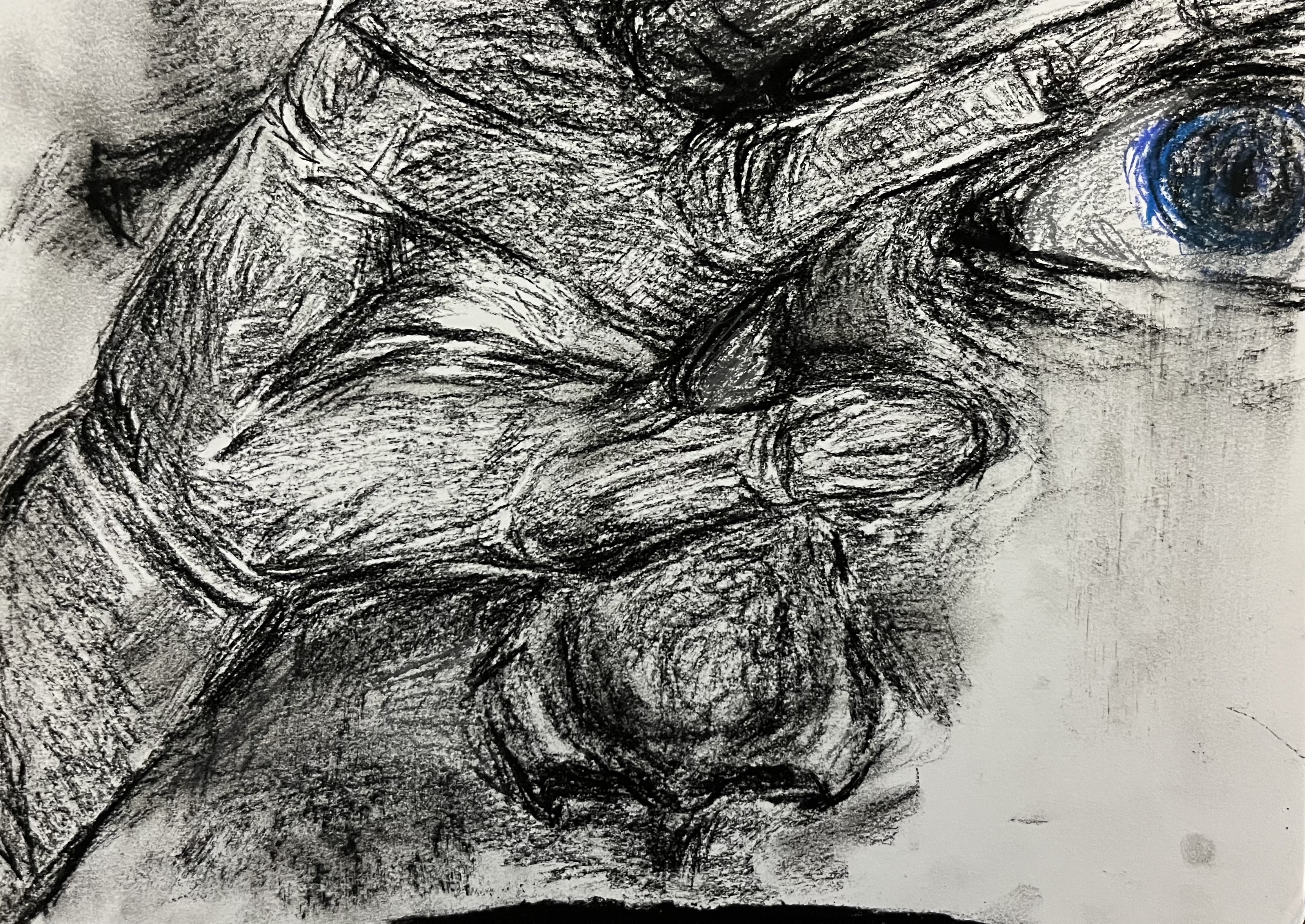 投稿イラスト
